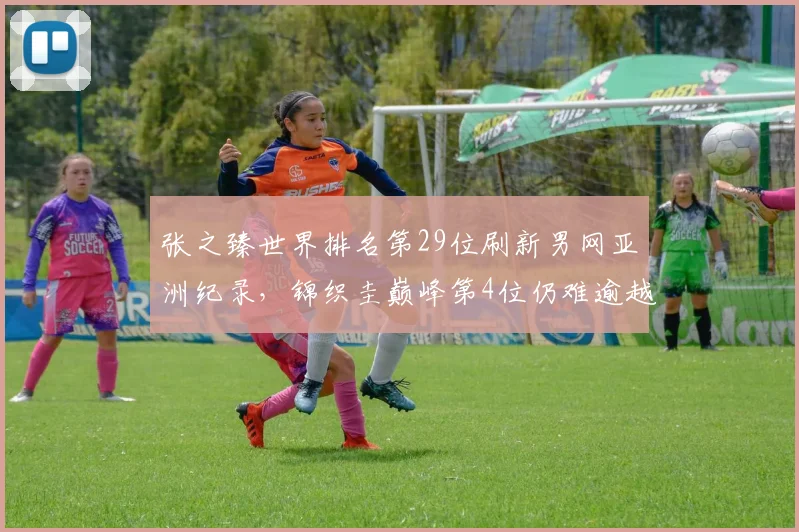 张之臻世界排名第29位刷新男网亚洲纪录,锦织圭巅峰第4位仍难逾越__br_