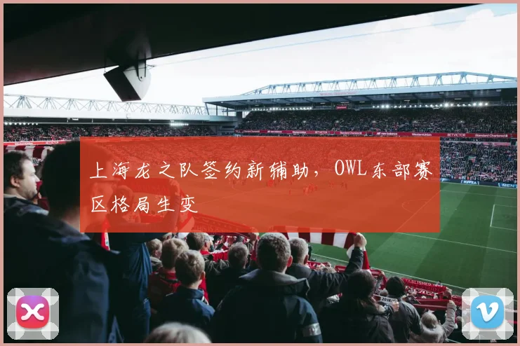 上海龙之队签约新辅助,OWL东部赛区格局生变